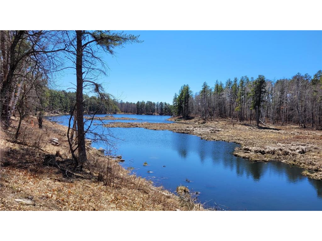 TBD* CR 16 Crosslake MN 56442 6363817 image1