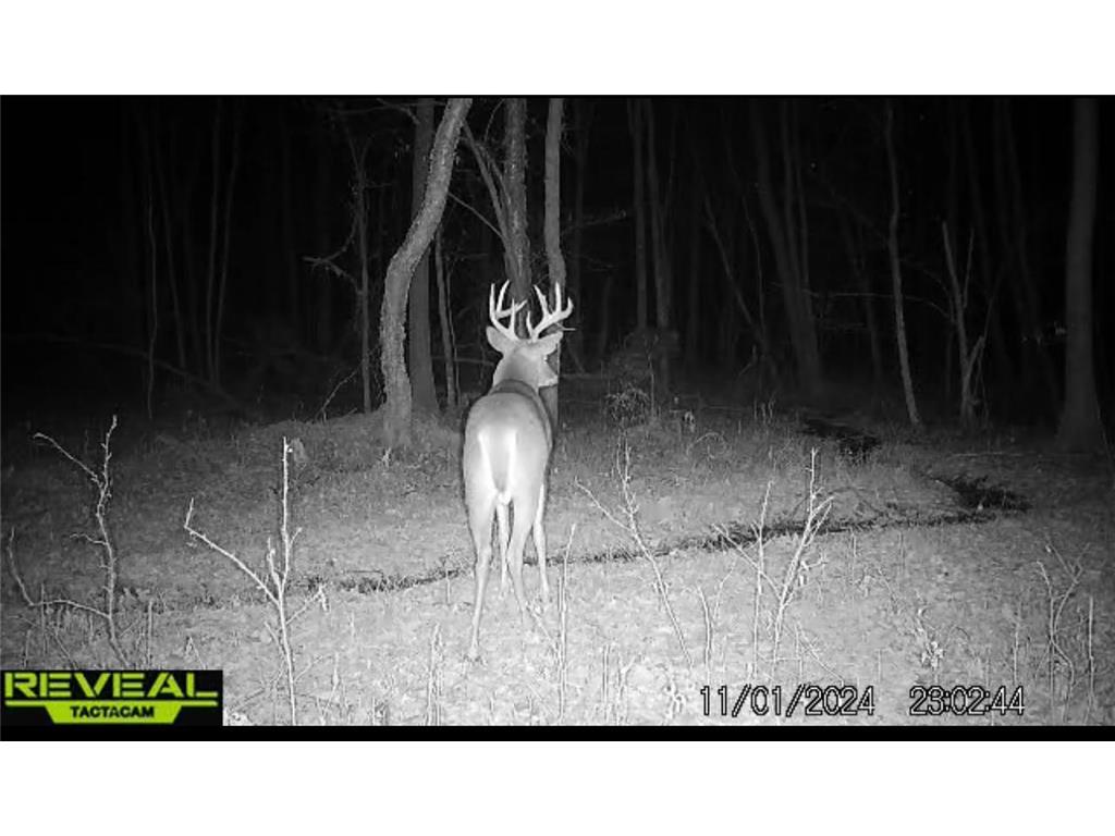 TBD CR-2 Brainerd MN 56401 6630473 image1