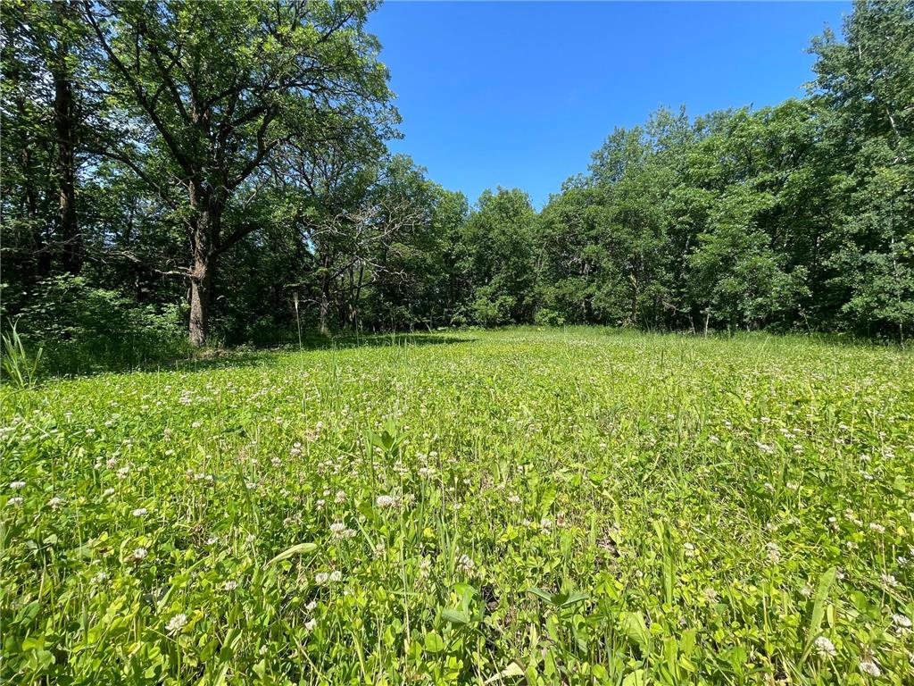 TBD CSAH 14 Beaulieu Twp MN 56557 6719260 image1