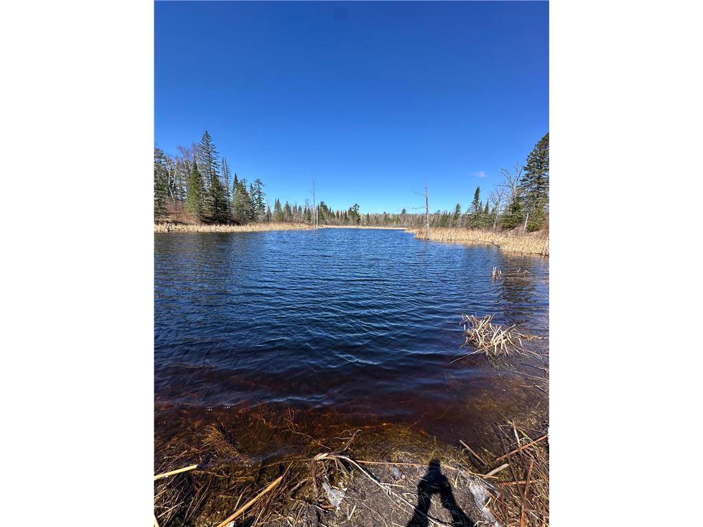 TBD CT 307 Taylor Twp MN 56630 7062564 image1