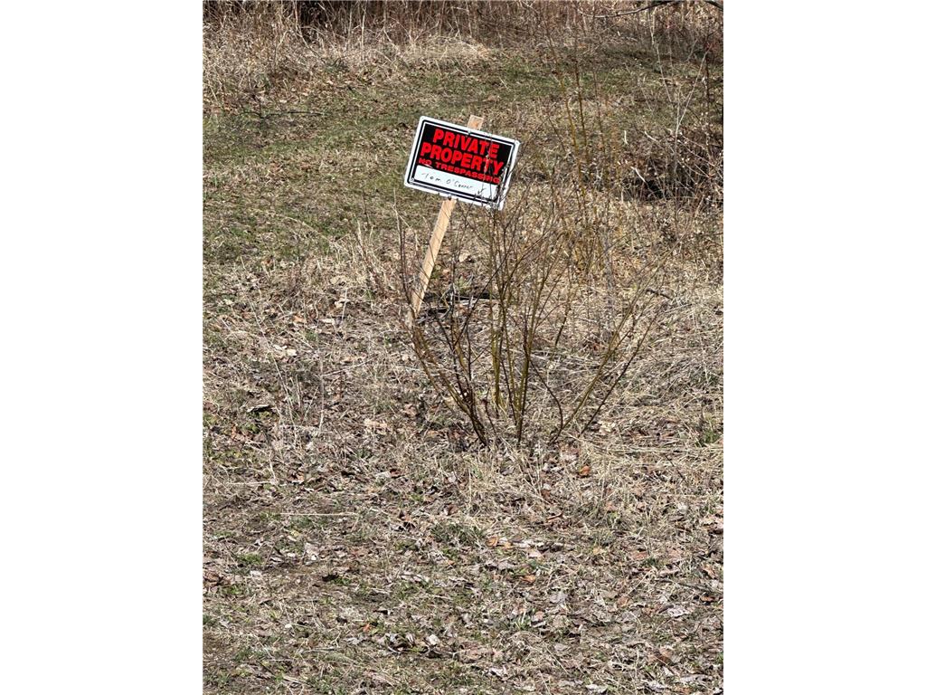 TBD CT 307 Taylor Twp MN 56630 7062564 image10