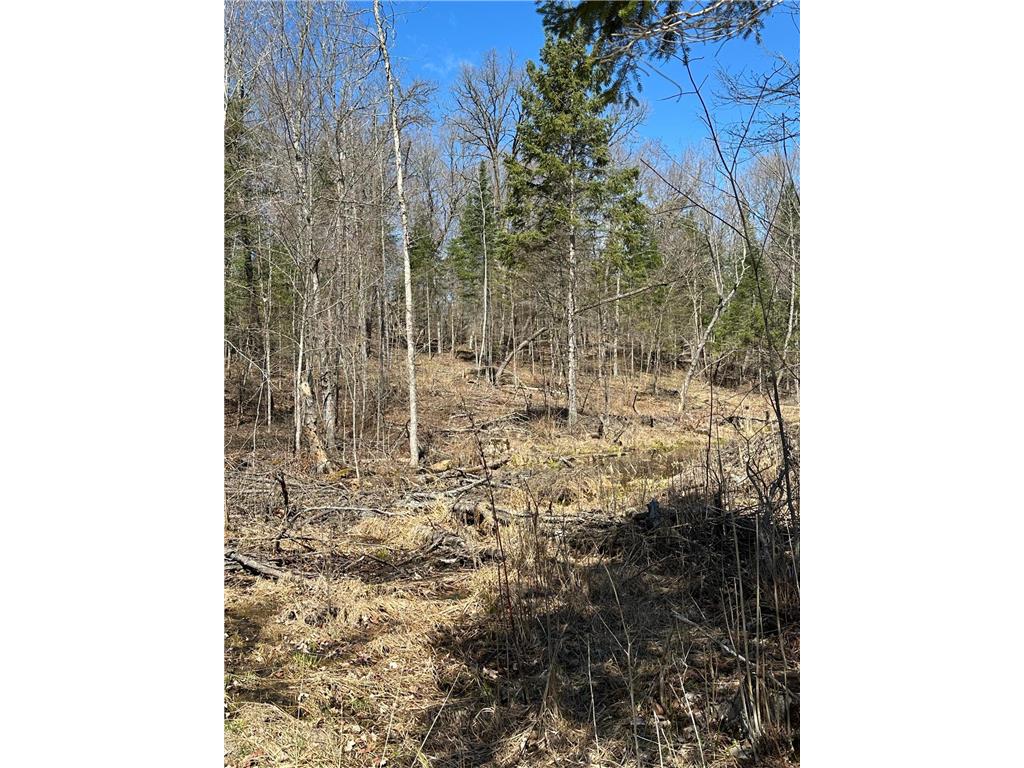 TBD CT 307 Taylor Twp MN 56630 7062564 image11