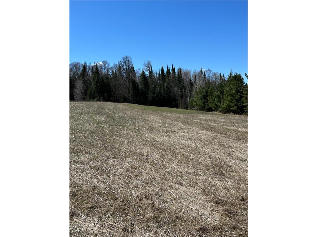 TBD CT 307 Taylor Twp MN 56630 7062564 image12