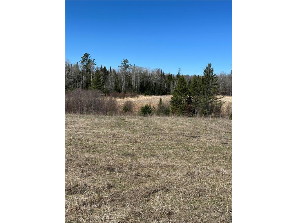 TBD CT 307 Taylor Twp MN 56630 7062564 image13