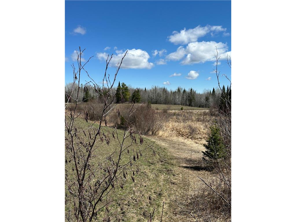 TBD CT 307 Taylor Twp MN 56630 7062564 image14