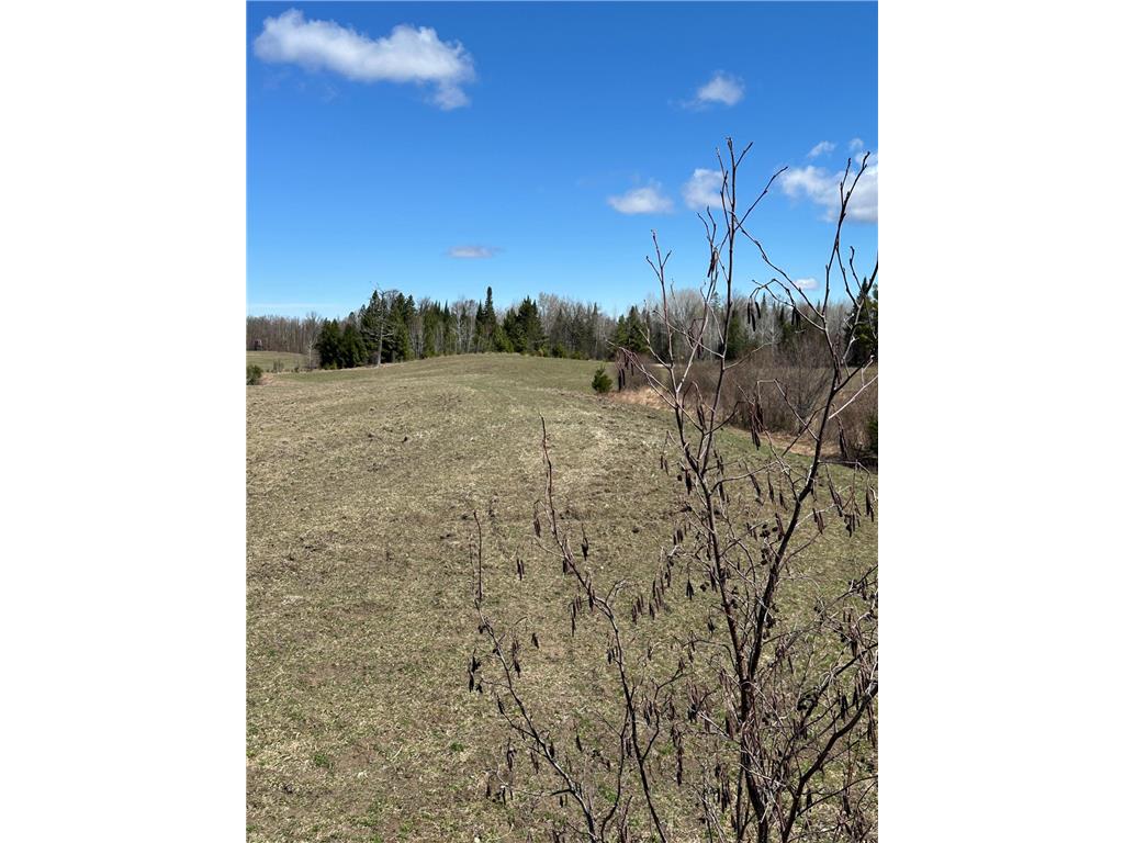 TBD CT 307 Taylor Twp MN 56630 7062564 image15