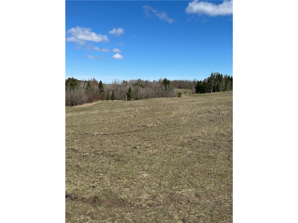 TBD CT 307 Taylor Twp MN 56630 7062564 image16