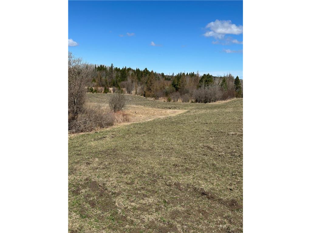 TBD CT 307 Taylor Twp MN 56630 7062564 image17