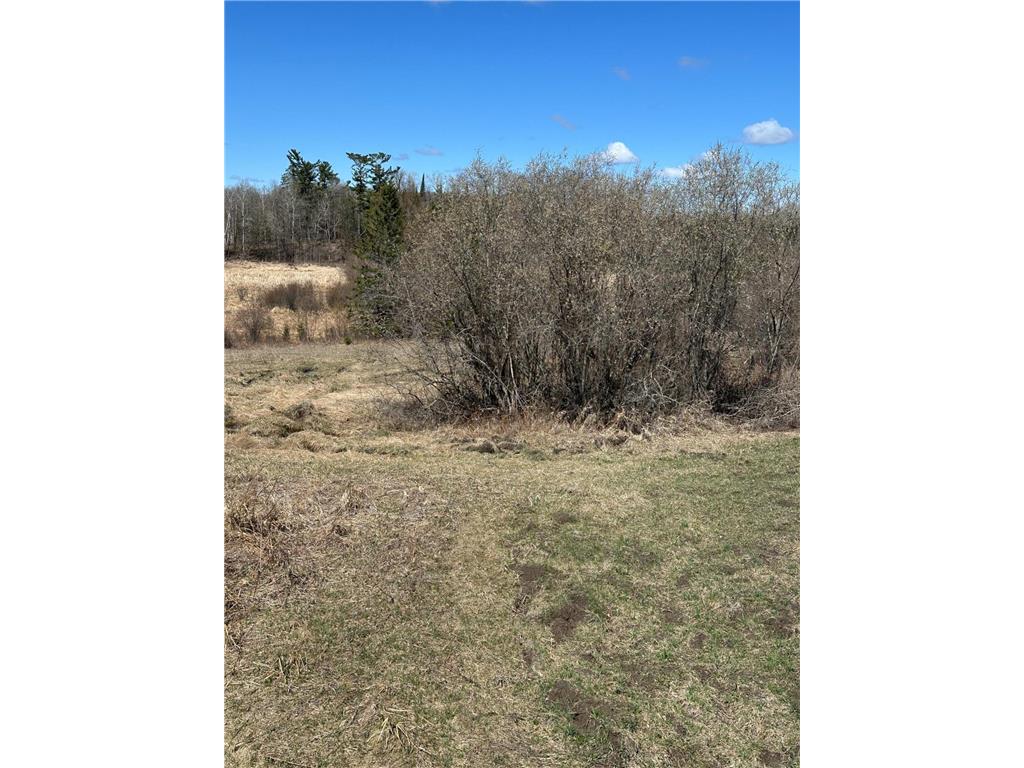 TBD CT 307 Taylor Twp MN 56630 7062564 image18