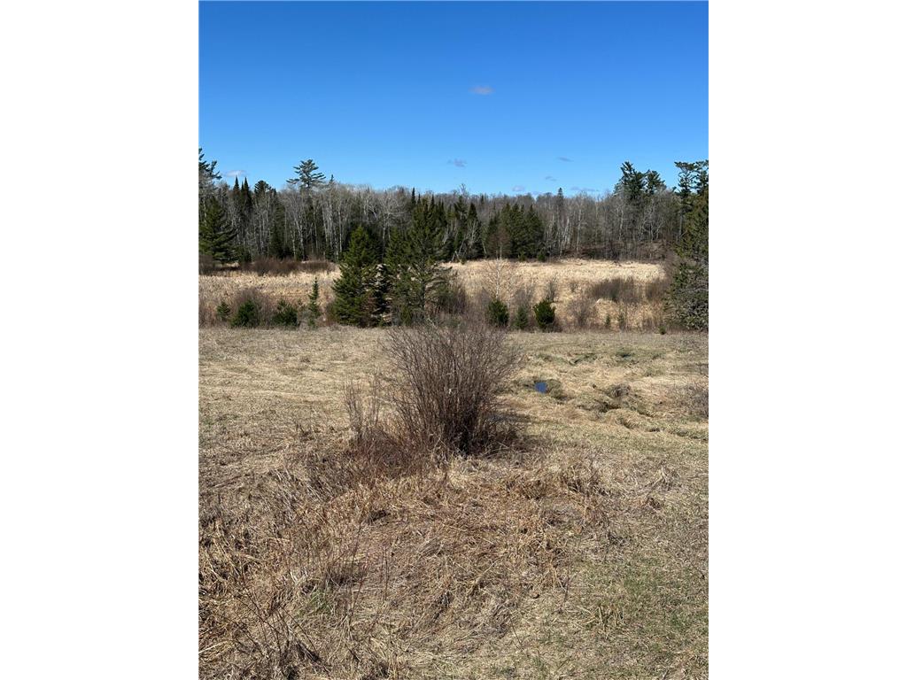 TBD CT 307 Taylor Twp MN 56630 7062564 image19