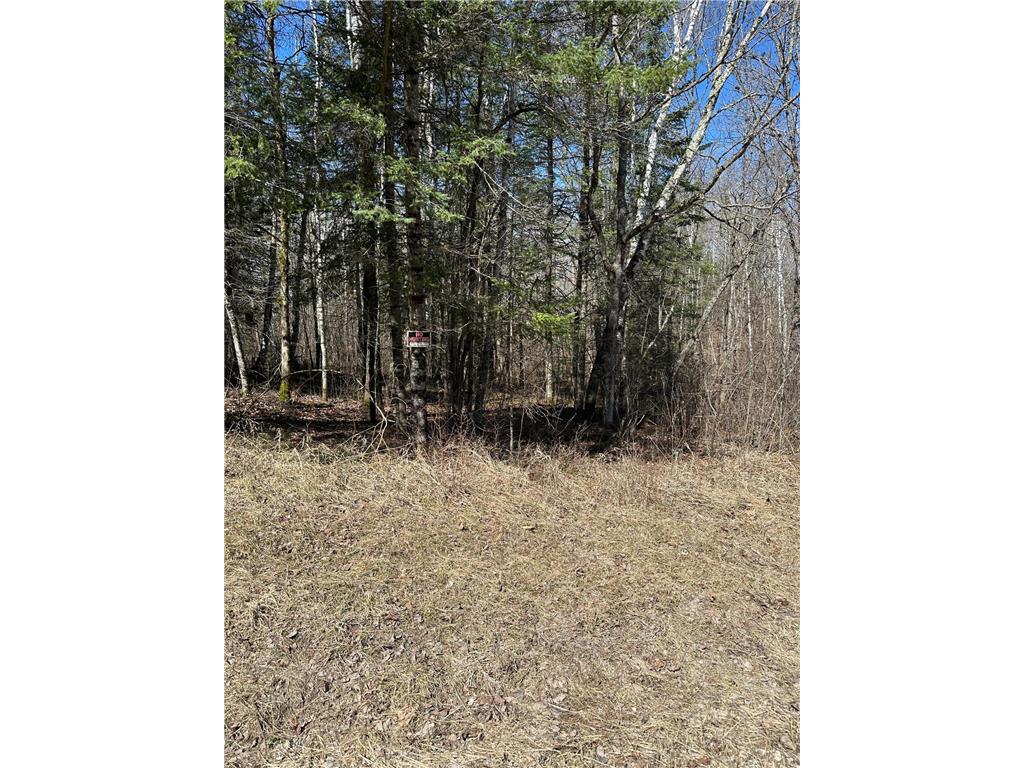 TBD CT 307 Taylor Twp MN 56630 7062564 image3