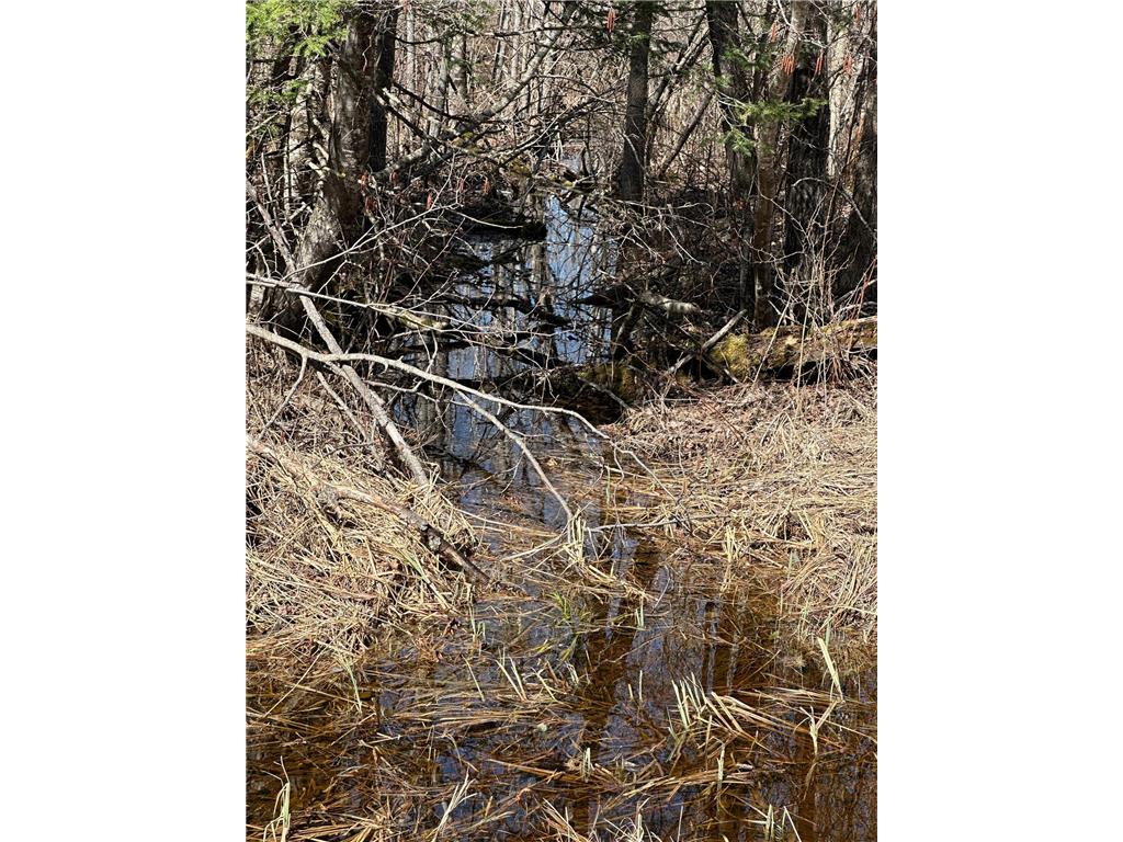 TBD CT 307 Taylor Twp MN 56630 7062564 image4