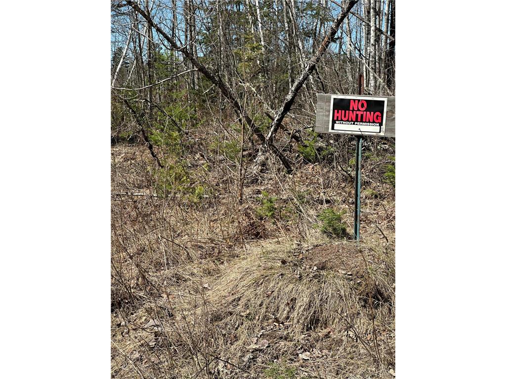 TBD CT 307 Taylor Twp MN 56630 7062564 image5