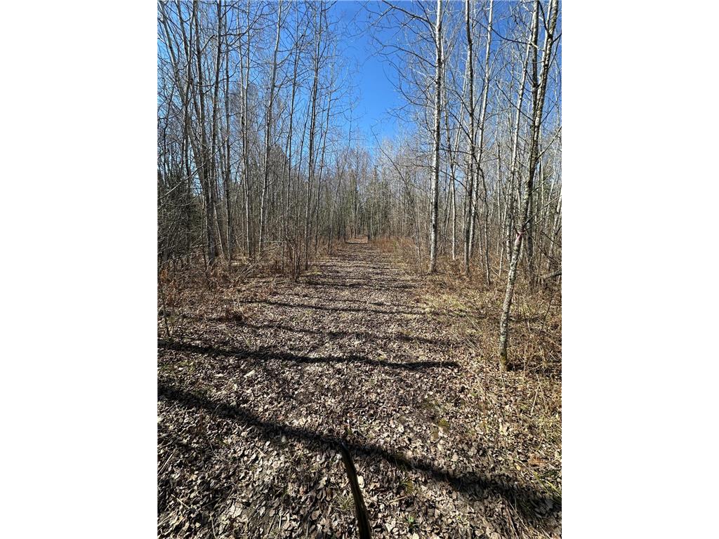 TBD CT 307 Taylor Twp MN 56630 7062564 image6