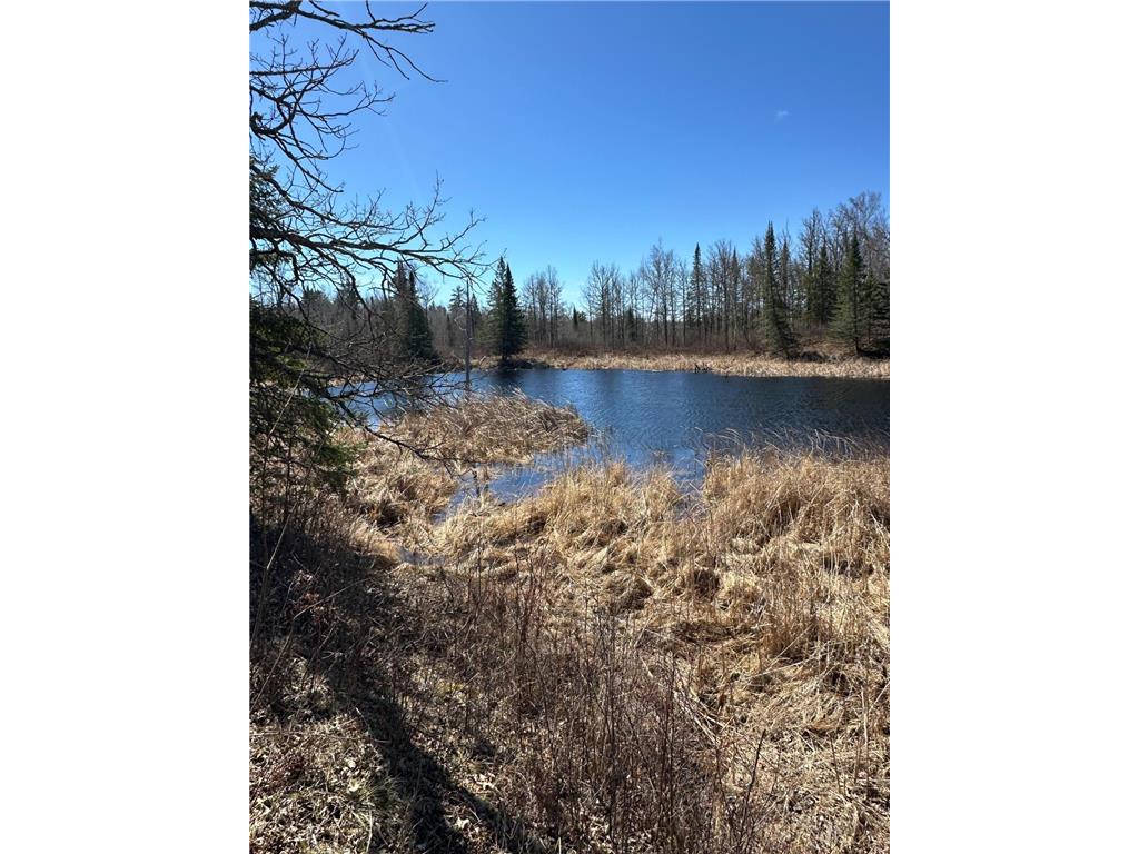 TBD CT 307 Taylor Twp MN 56630 7062564 image7