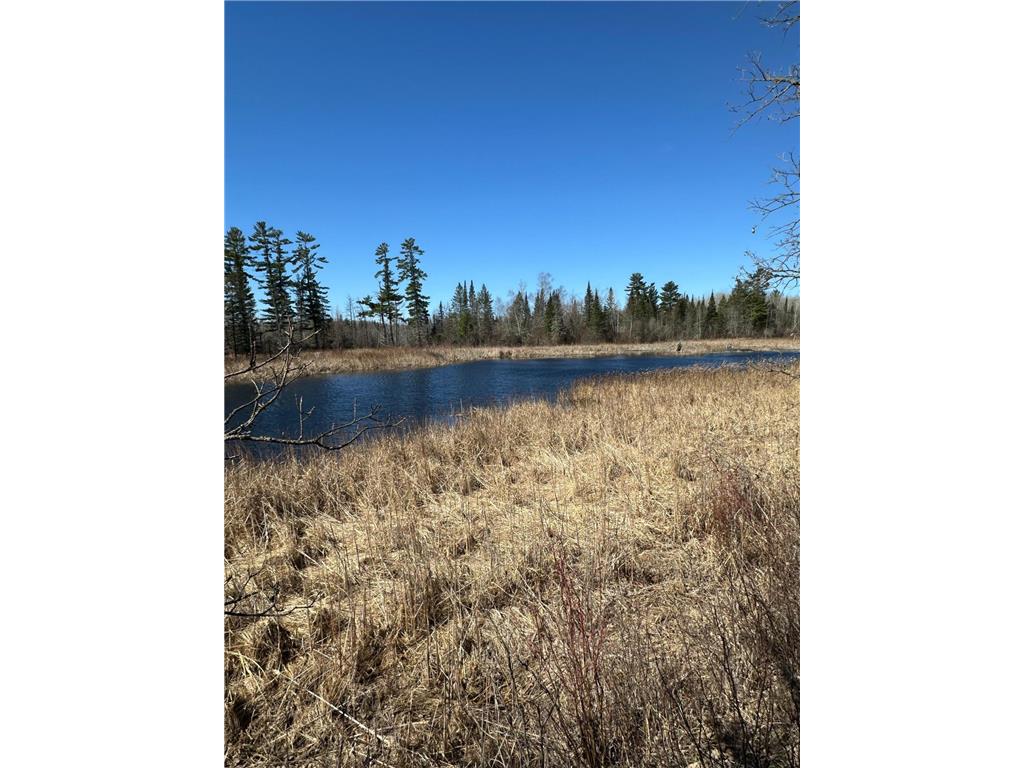 TBD CT 307 Taylor Twp MN 56630 7062564 image8