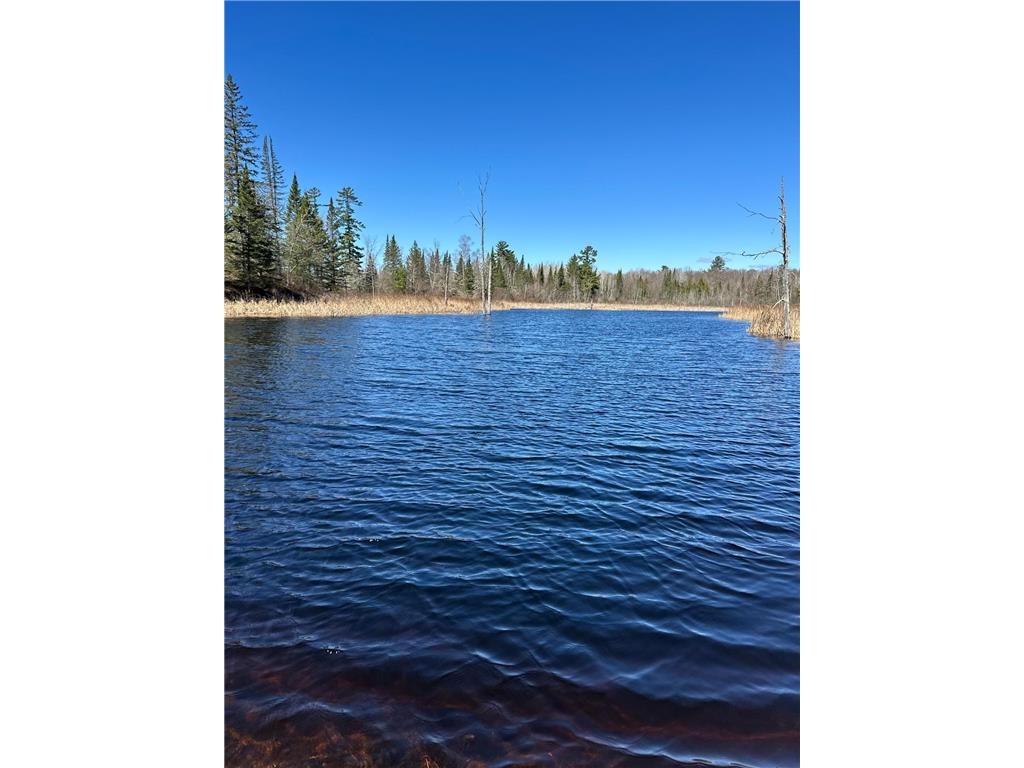 TBD CT 307 Taylor Twp MN 56630 7062564 image9