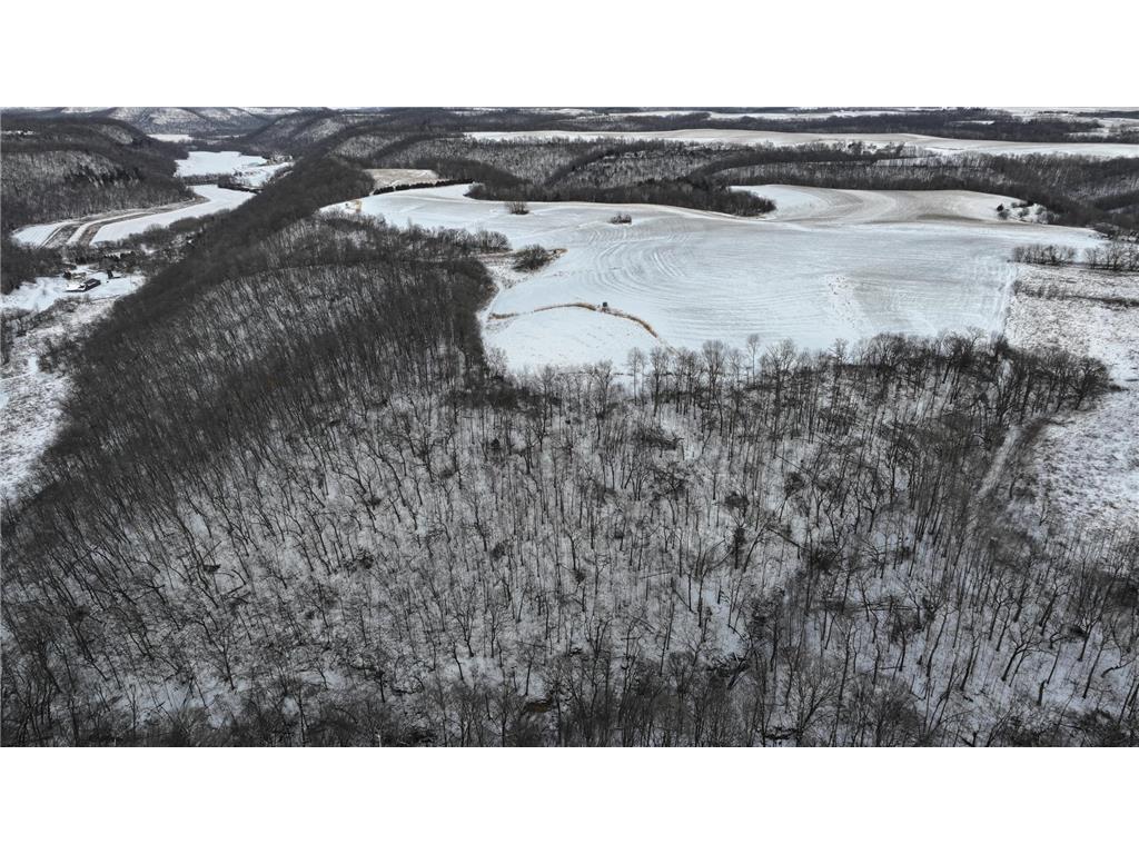 TBD CTY 13 Rushford MN 55971 7012426 image12