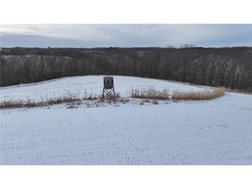 TBD CTY 13 Rushford MN 55971 7012426 image15
