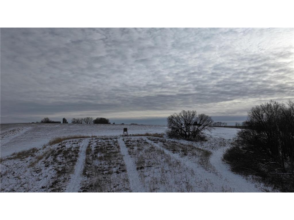 TBD CTY 13 Rushford MN 55971 7012426 image17