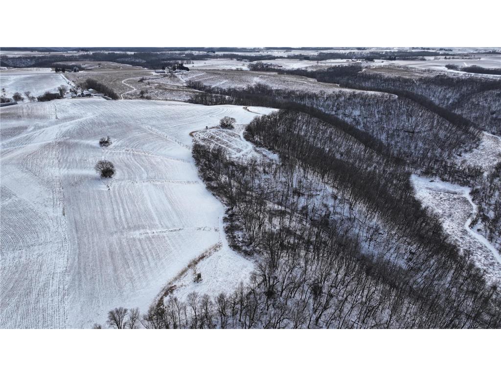 TBD CTY 13 Rushford MN 55971 7012426 image21