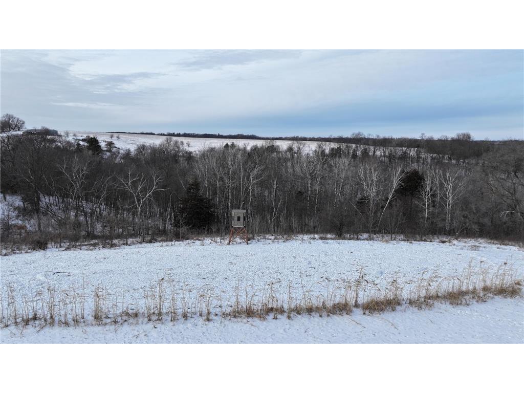 TBD CTY 13 Rushford MN 55971 7012426 image25