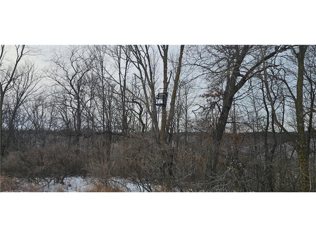 TBD CTY 13 Rushford MN 55971 7012426 image35