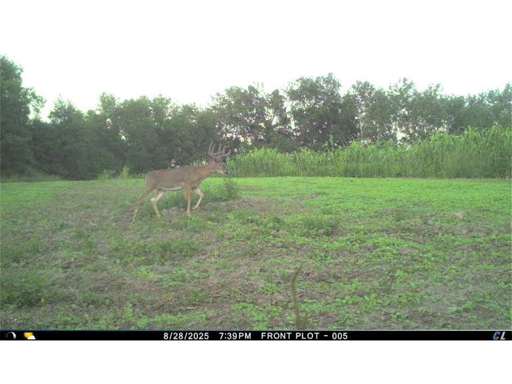 TBD CTY 13 Rushford MN 55971 7012426 image36