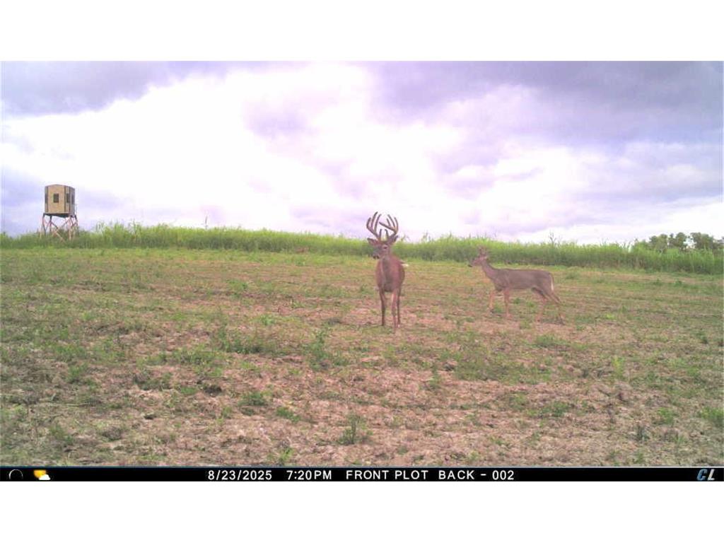 TBD CTY 13 Rushford MN 55971 7012426 image37