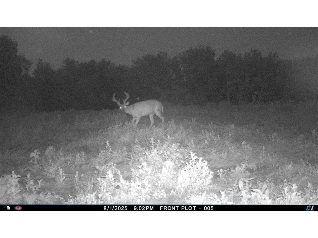 TBD CTY 13 Rushford MN 55971 7012426 image38