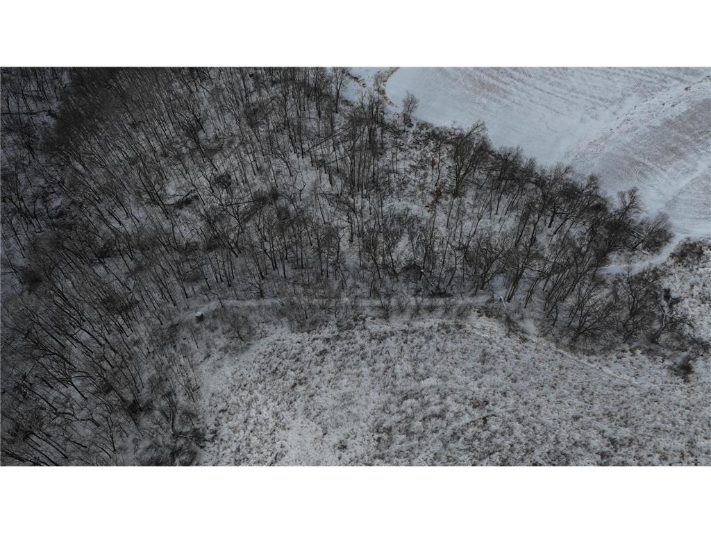 TBD CTY 13 Rushford MN 55971 7012426 image8