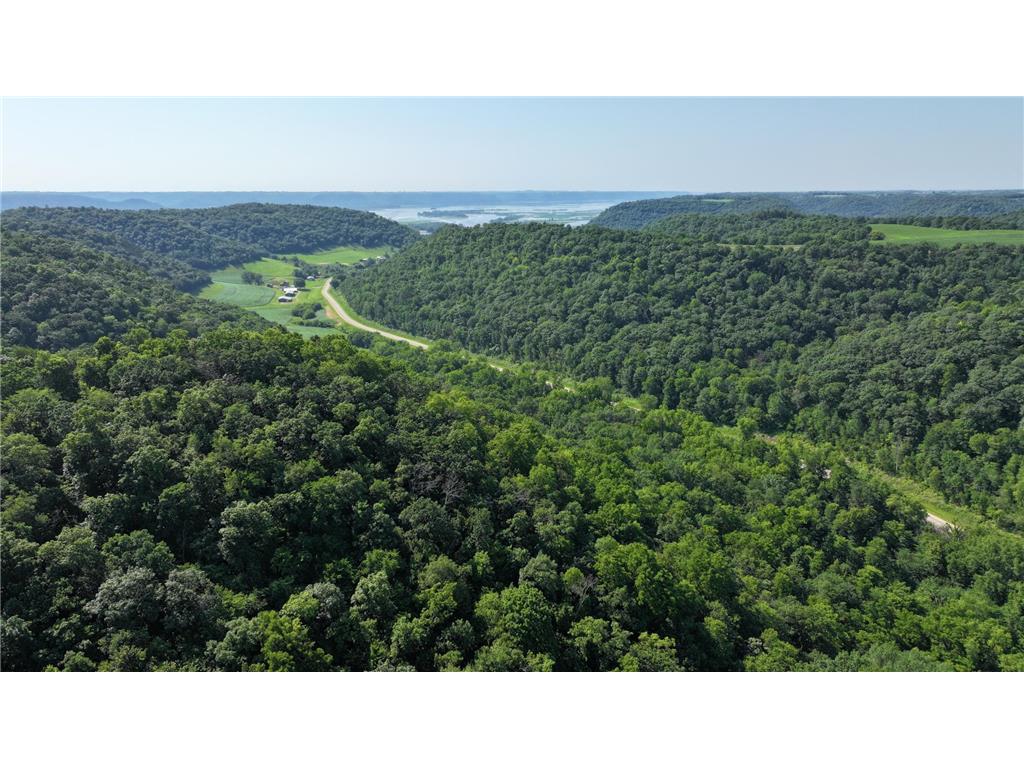 TBD CTY 18 Brownsville MN 55919 6781037 image1