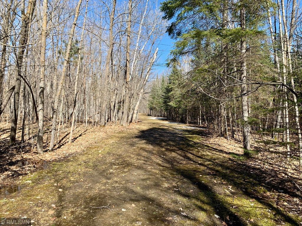 TBD Cabin Camp Trail NE Longville MN 56655 - Boy 6169205 image1