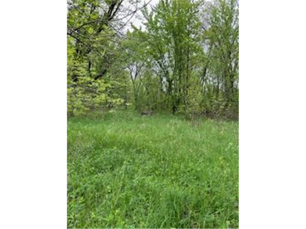 TBD Calico Trail Motley MN 56466 - Crow Wing River 6733268 image2