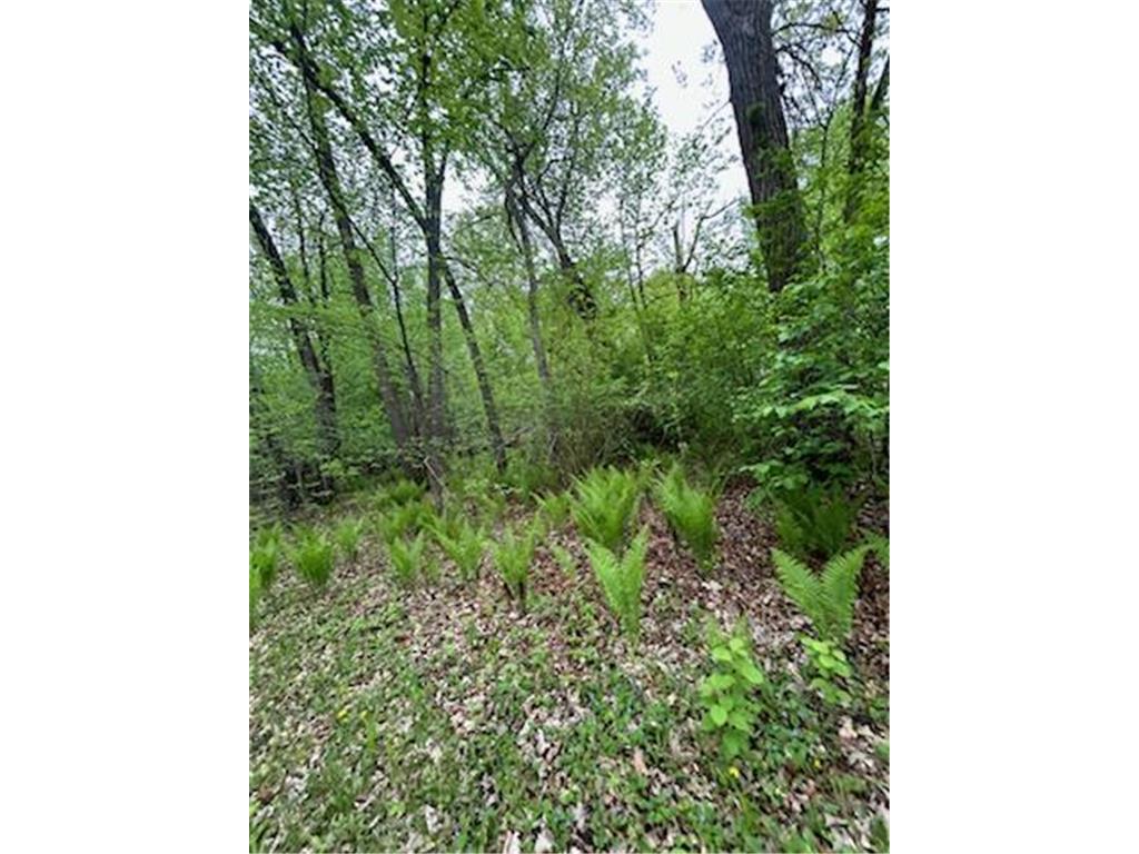 TBD Calico Trail Motley MN 56466 - Crow Wing River 6733268 image6