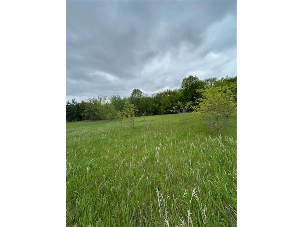 TBD Calico Trail Motley MN 56466 - Crow Wing River 6733268 image8