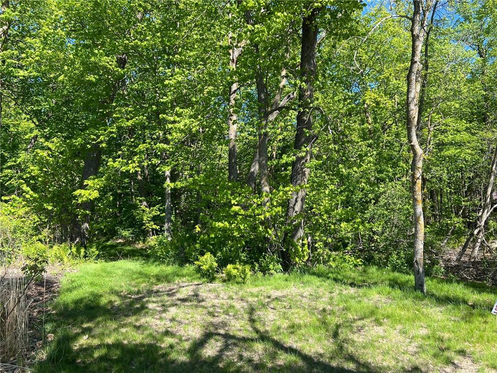 TBD Camper Landing Road NW Cass Lake MN 56633 - Leech Lake 7031534 image7