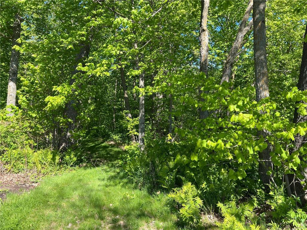 TBD Camper Landing Road NW Cass Lake MN 56633 - Leech Lake 7031534 image8