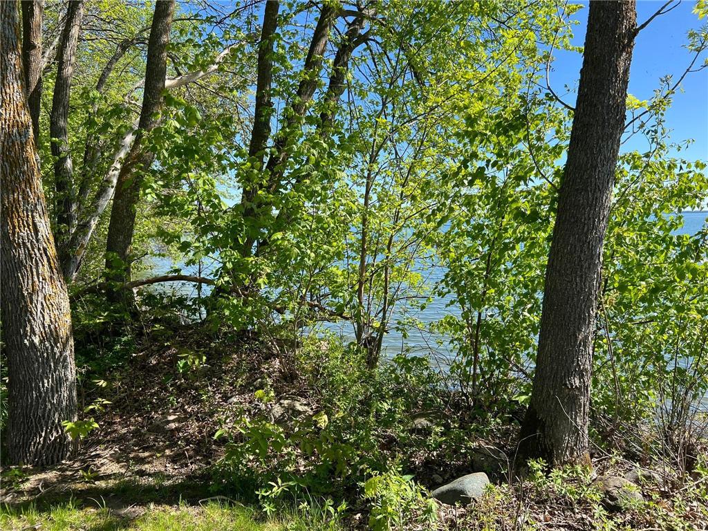 TBD Camper Landing Road NW Cass Lake MN 56633 - Leech Lake 7031534 image9