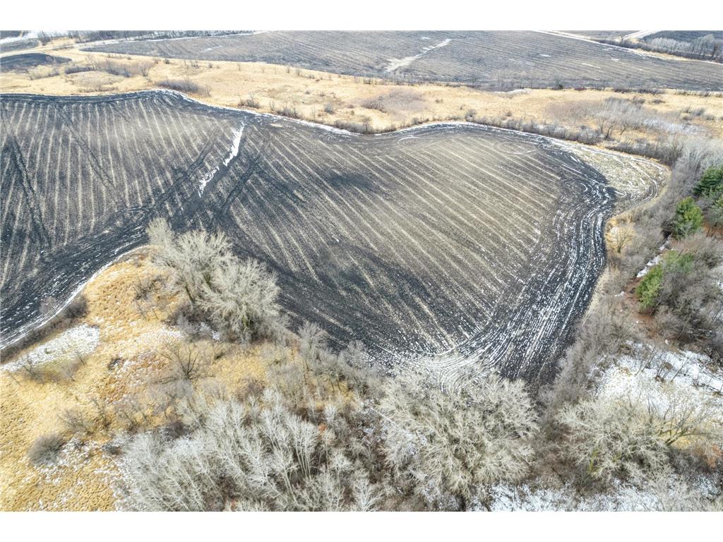 TBD Canby Avenue Webster Twp MN 55088 6740183 image3