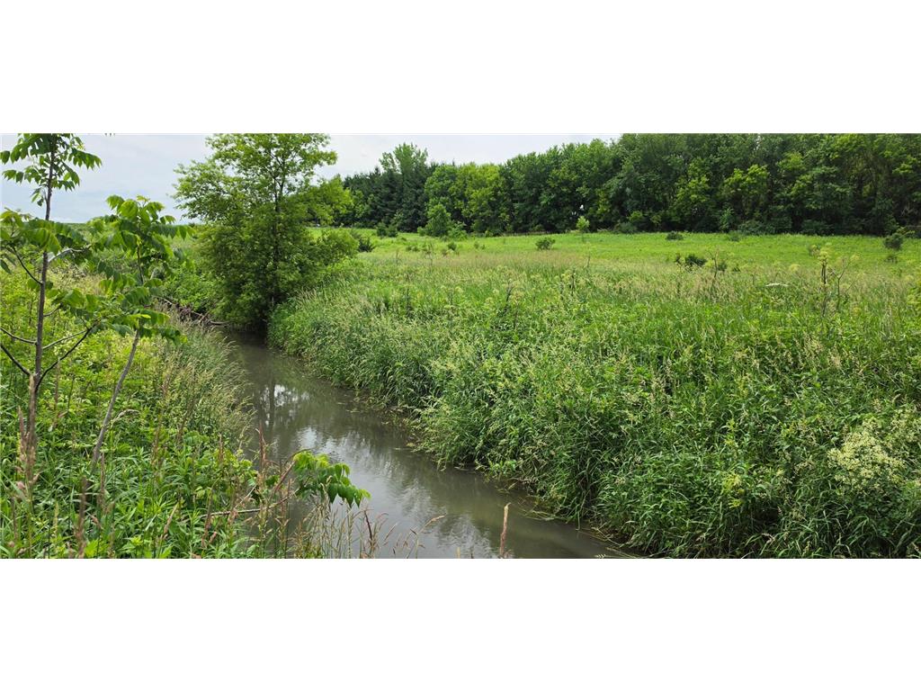 TBD Cardinal Lane Preble Twp MN 55954 - Wisel Creek 7093958 image13