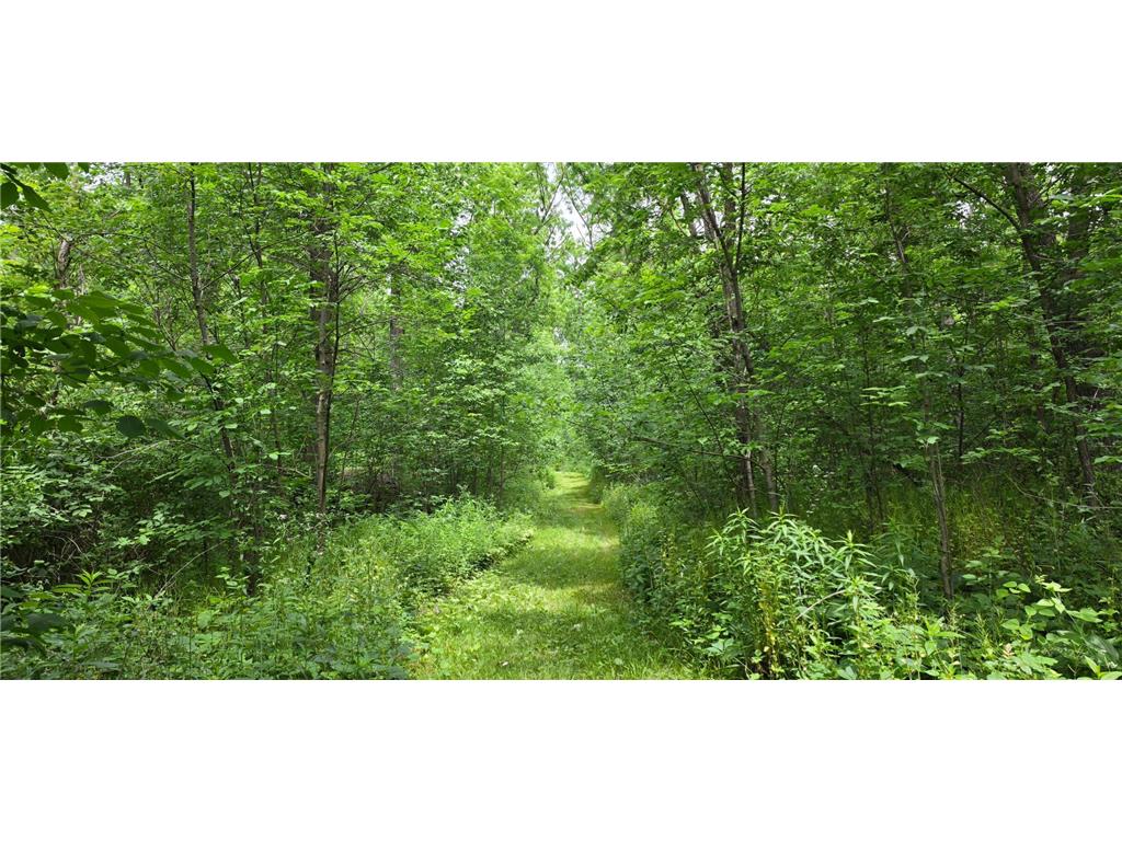 TBD Cardinal Lane Preble Twp MN 55954 - Wisel Creek 7093958 image14