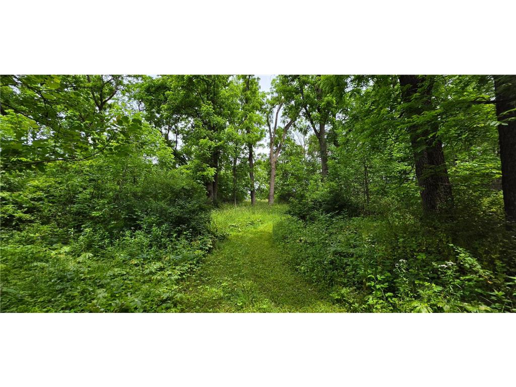 TBD Cardinal Lane Preble Twp MN 55954 - Wisel Creek 7093958 image15