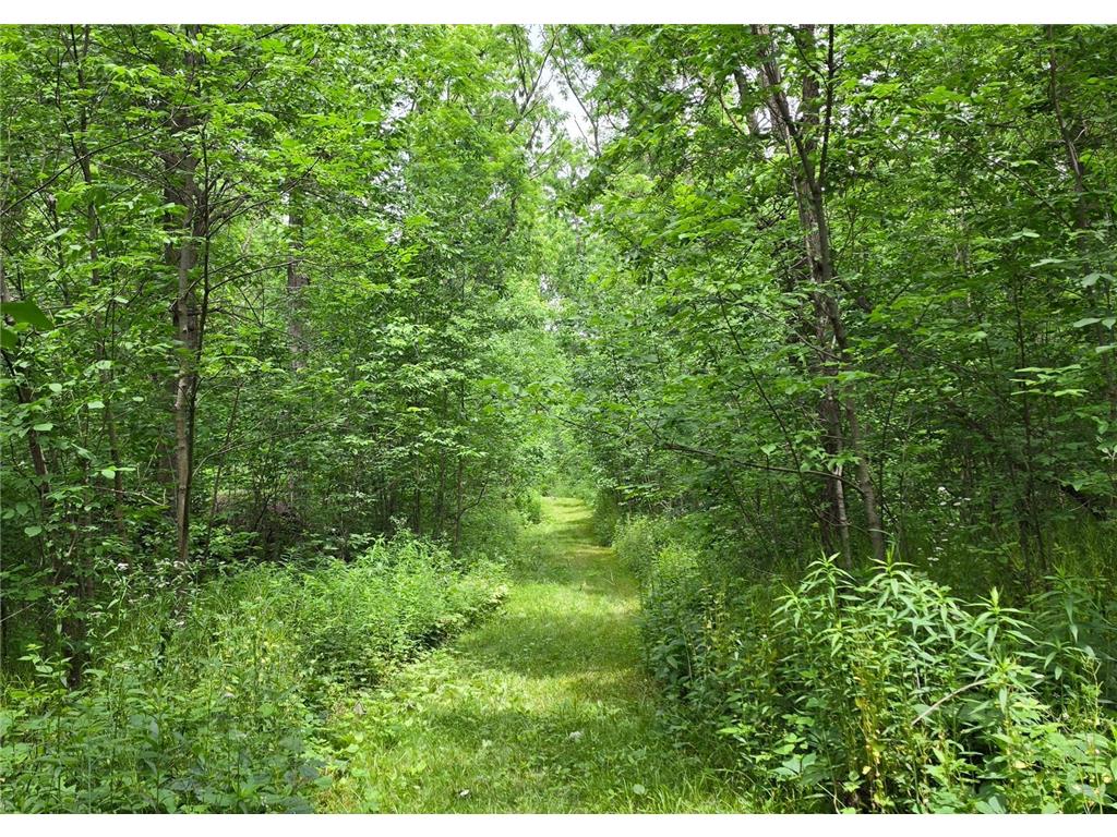 TBD Cardinal Lane Preble Twp MN 55954 - Wisel Creek 7093958 image19