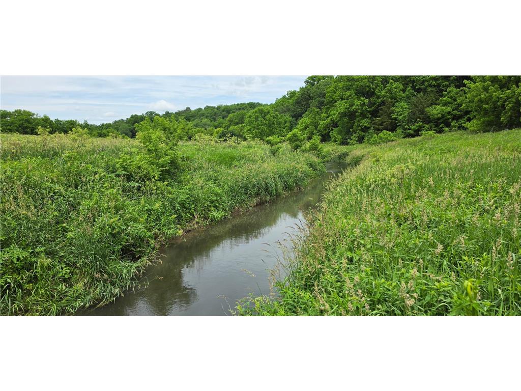 TBD Cardinal Lane Preble Twp MN 55954 - Wisel Creek 7093958 image2