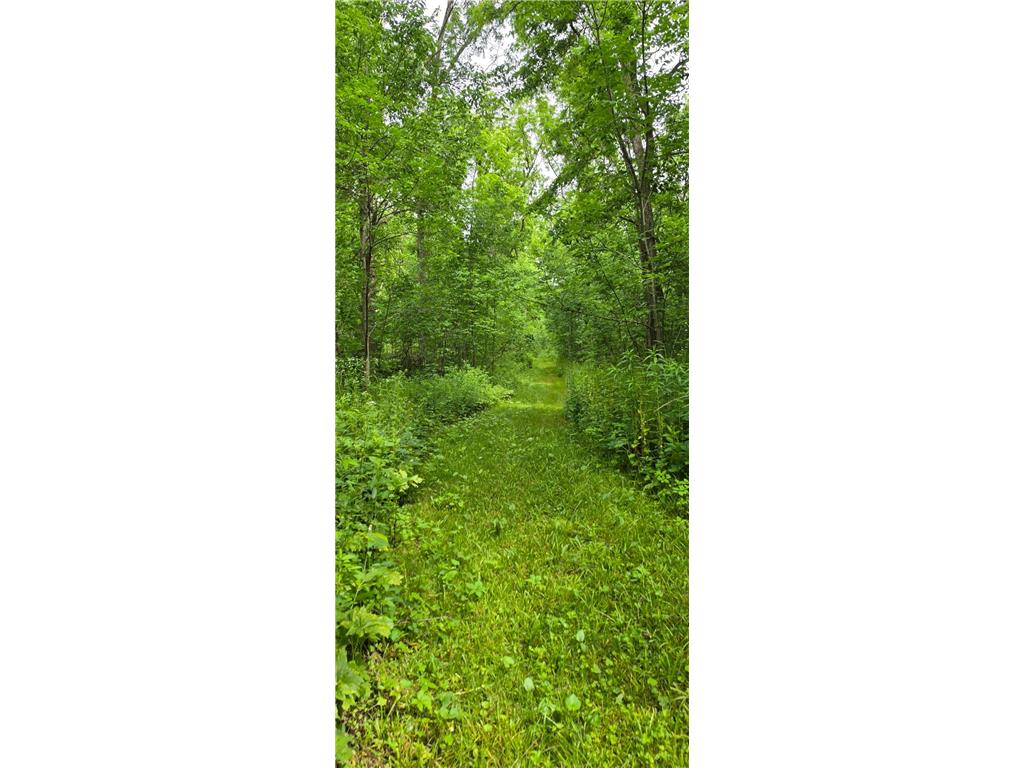 TBD Cardinal Lane Preble Twp MN 55954 - Wisel Creek 7093958 image4