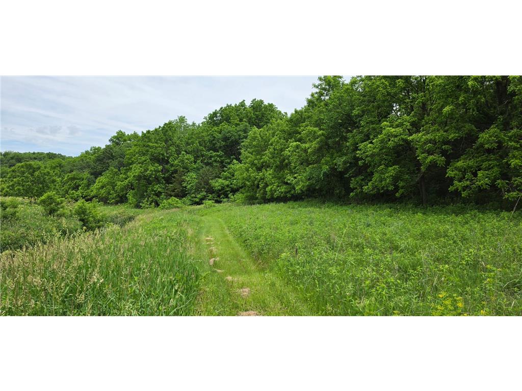 TBD Cardinal Lane Preble Twp MN 55954 - Wisel Creek 7093958 image6