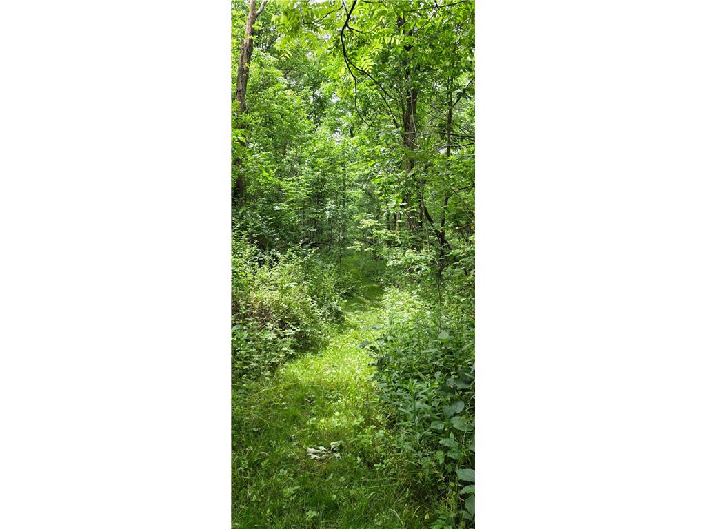 TBD Cardinal Lane Preble Twp MN 55954 - Wisel Creek 7093958 image8