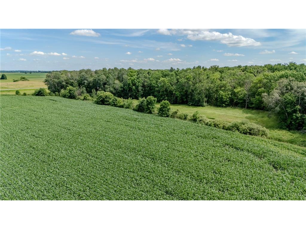 TBD Cardinal Road Swanville MN 56382 7105185 image10