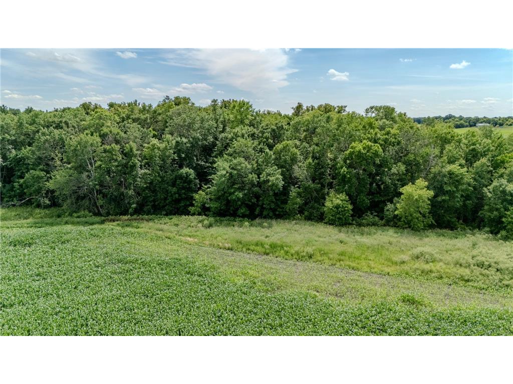 TBD Cardinal Road Swanville MN 56382 7105185 image11